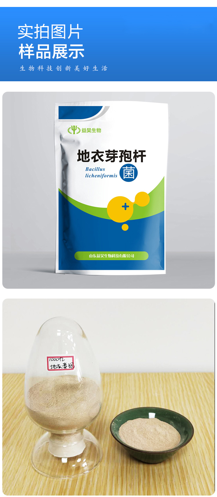 地衣芽孢杆菌 地衣芽孢杆菌