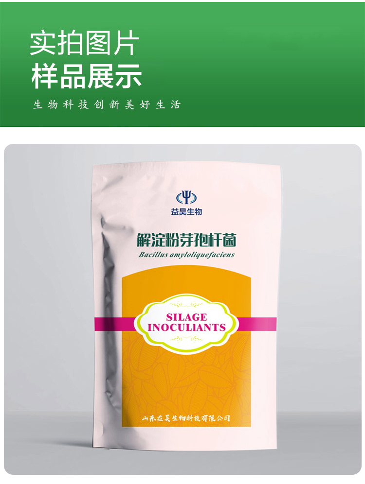 解淀粉芽孢杆菌